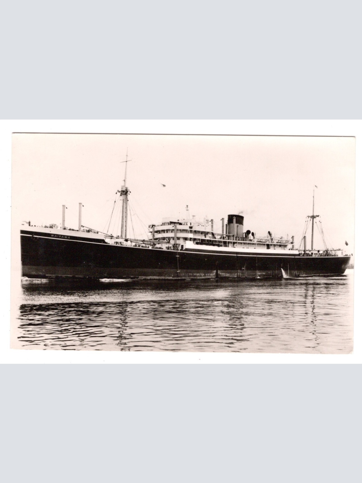 AK, m.s. Waipawa, Ansichtskarte (S5904)