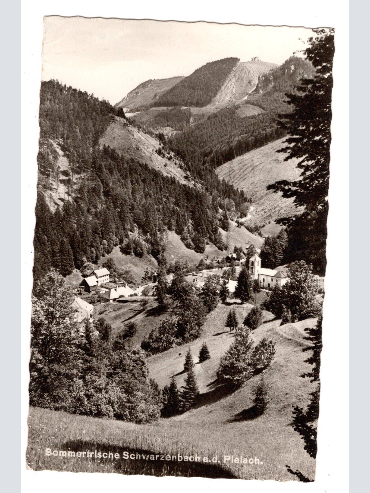 AK, Schwarzenbach an der Pielach, Niederösterreich, Ansichtskarte (S5949)