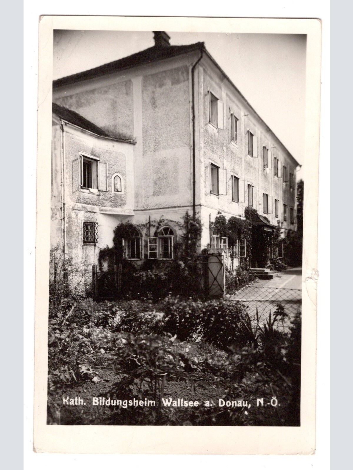 AK, Wallsee-Sindelburg, Niederösterreich, Ansichtskarte (S5971)