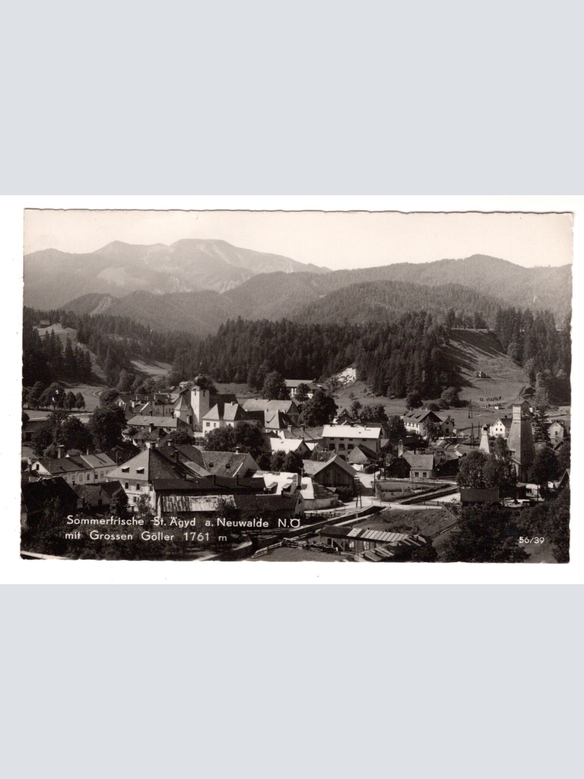 AK, Sankt Äegyd am Neuwalde, Niederösterreich, Ansichtskarte (S6014)