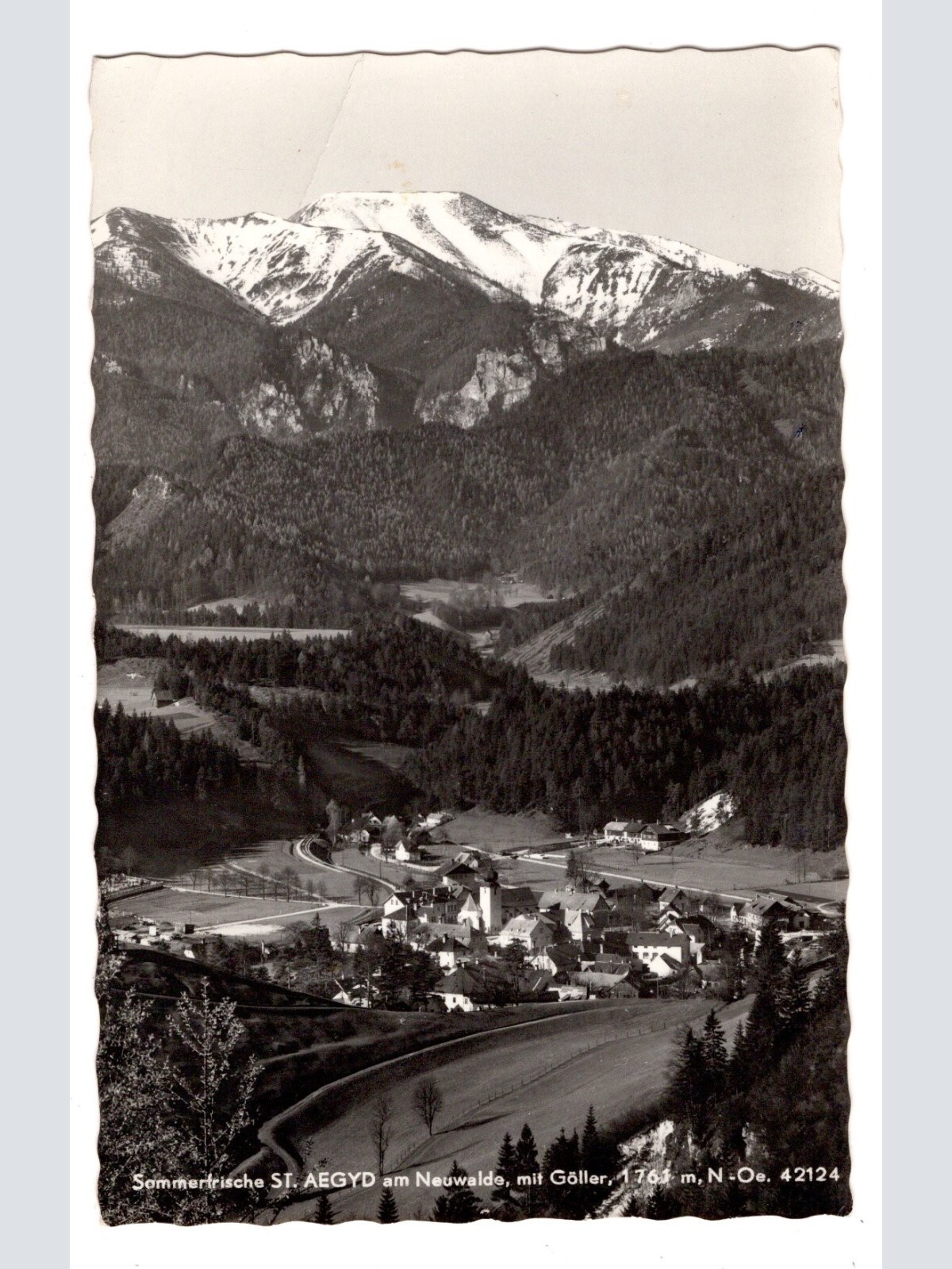 AK, Sankt Aegyd am Neuwalde, Niederösterreich, Ansichtskarte (S6020)