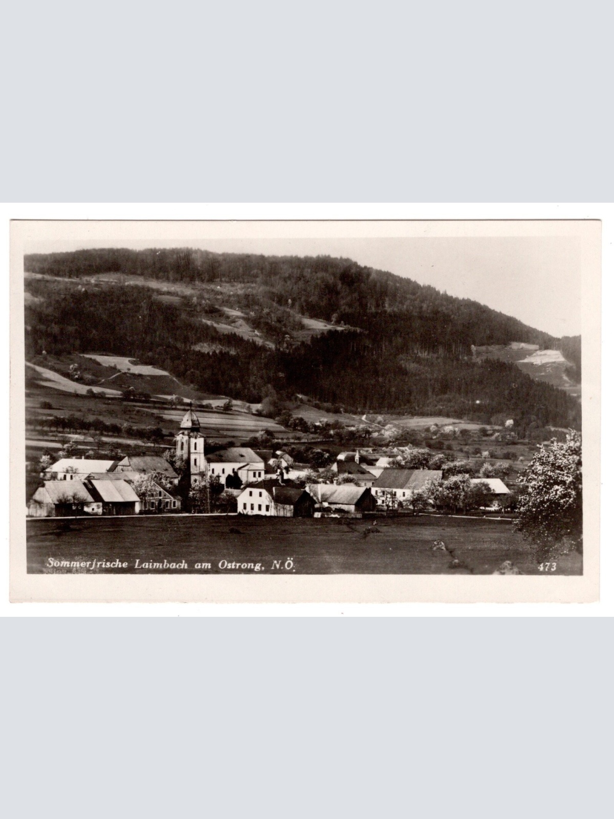AK, Laimbach am Ostrong, Niederösterreich, Ansichtskarte (S6087)