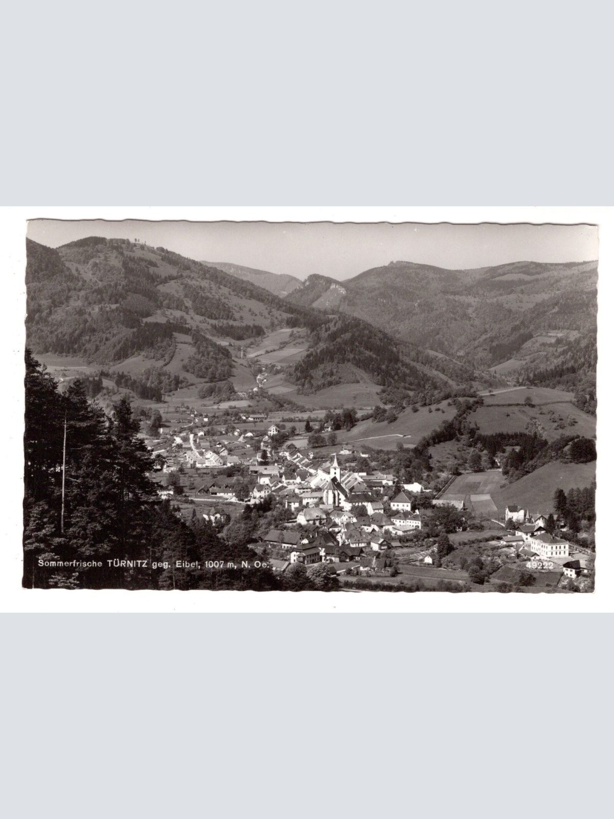 AK, Türnitz, Niederösterreich, Ansichtskarte (S6131)