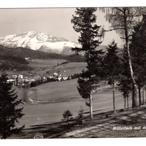 AK, Mitterbach mit dem Ötscher, Niederösterreich, Ansichtskarte (S6141)