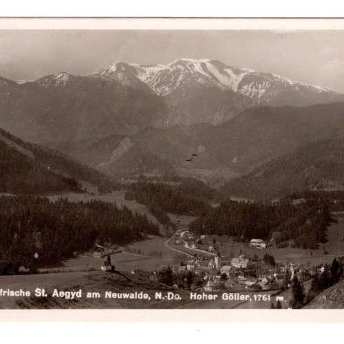 AK, Sankt Aegyd am Neuwalde, Niederösterreich, Ansichtskarte (S6147)