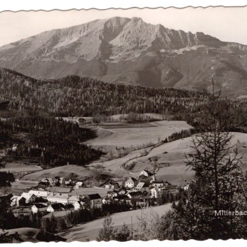 AK, Mitterbach, Ötscher, Niederösterreich, Ansichtskarte (S6157)