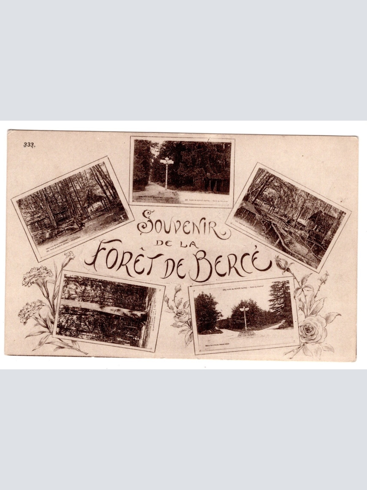 AK, Souvenir de la Forêt de Bercé, Frankreich, Ansichtskarte (S6197)