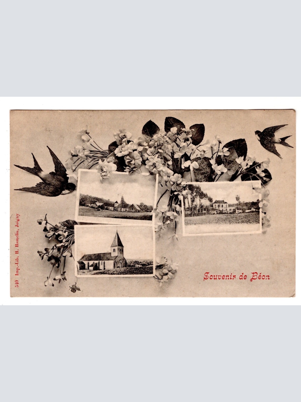 AK, Souvenir de Béon, Frankreich, Ansichtskarte (S6224)