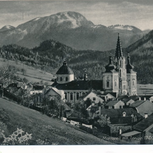 AK aus Mariazell mit Tonion Steiermark Ansichtskarte (14466)
