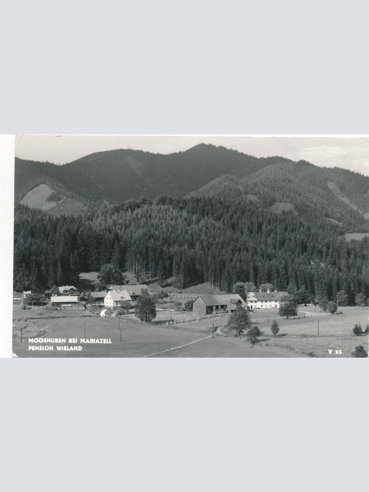 AK aus Mooshben bei Mariazell mit Pension Steiermark Ansichtskarte (14486)