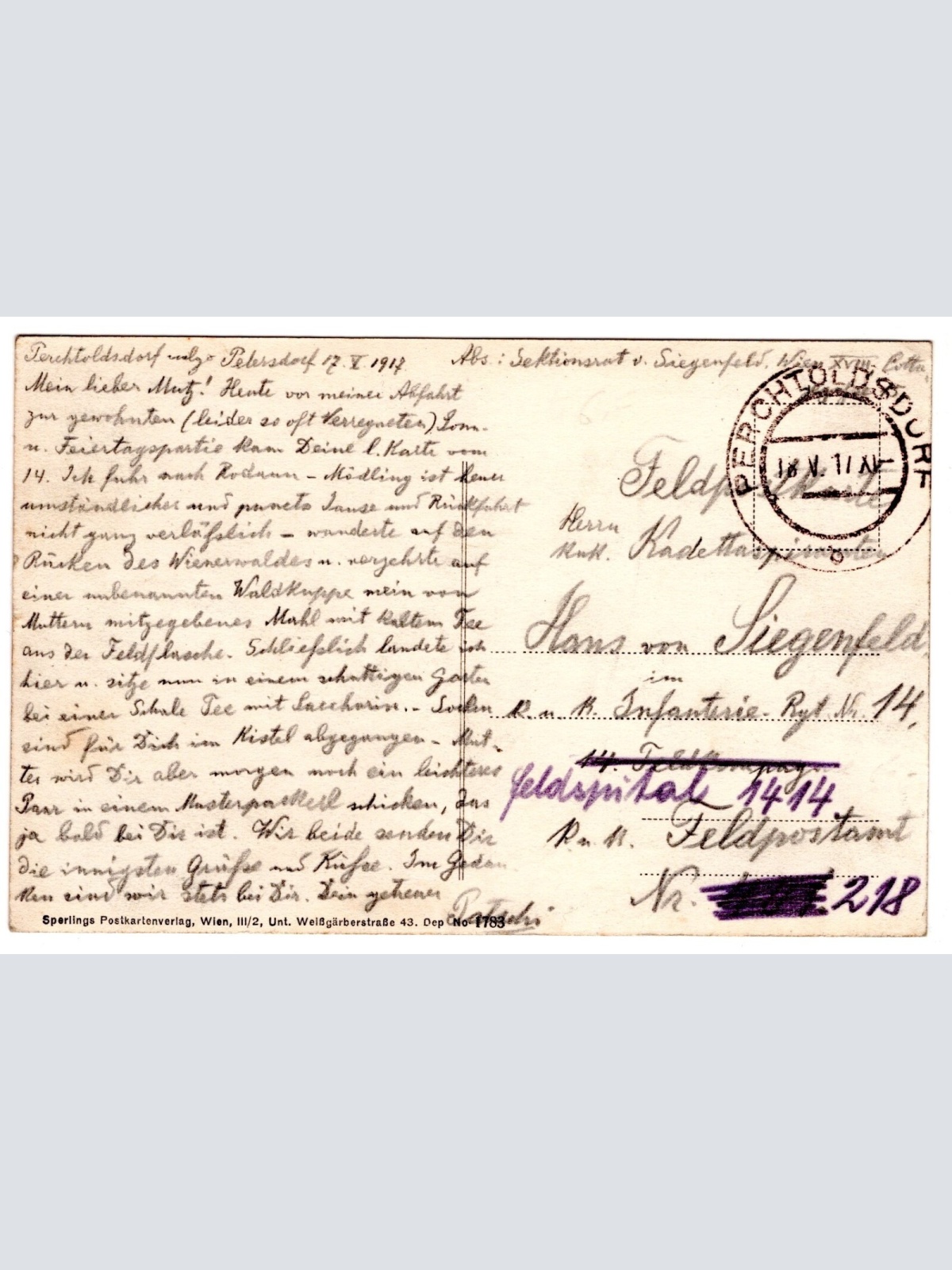 AK, Perchtoldsdorf, Panorama, Niederösterreich, Ansichtskarte (S6366)