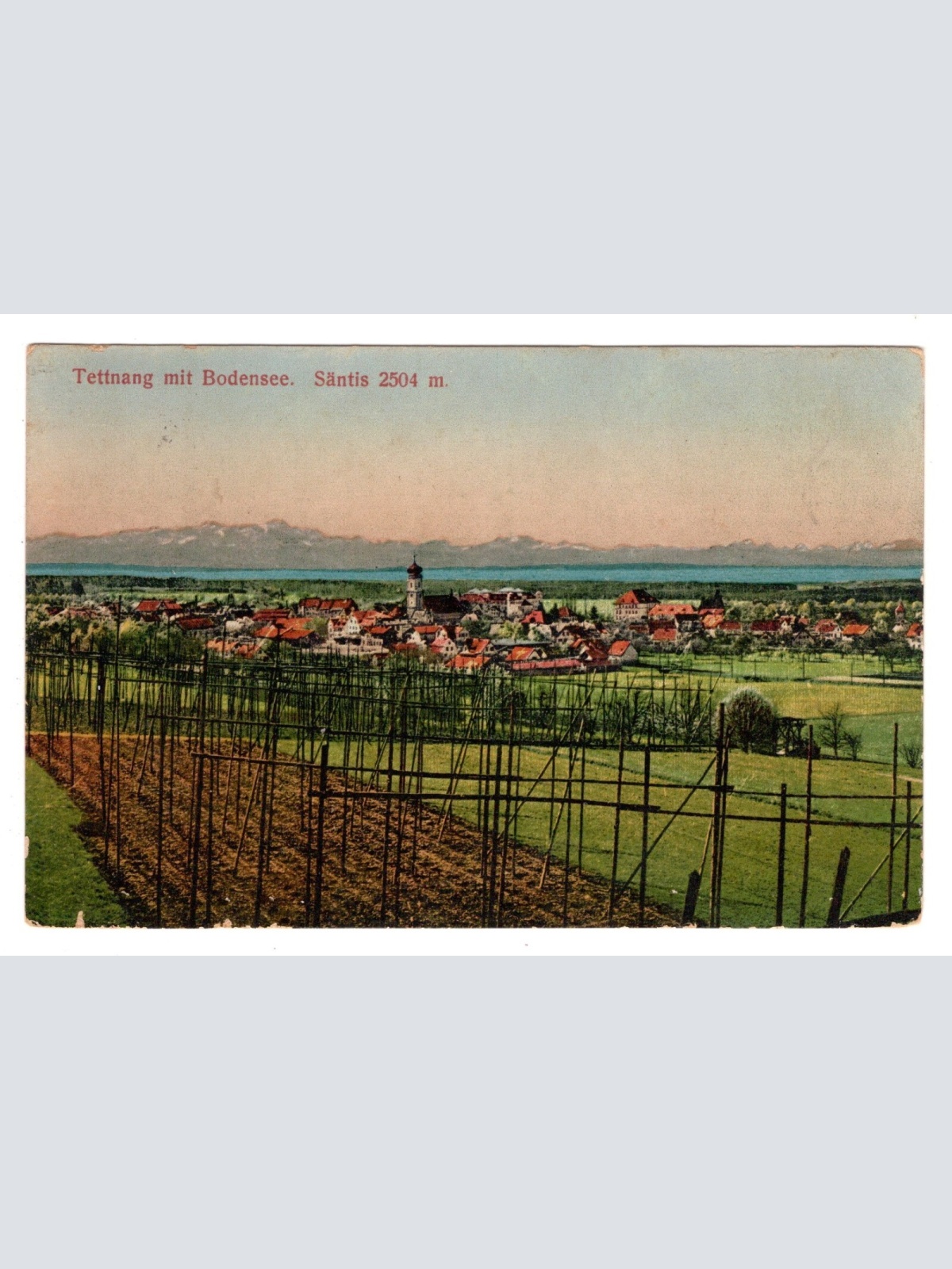 AK, Tettnang mit Bodensee, Baden-Württemberg, Ansichtskarte (S6505)