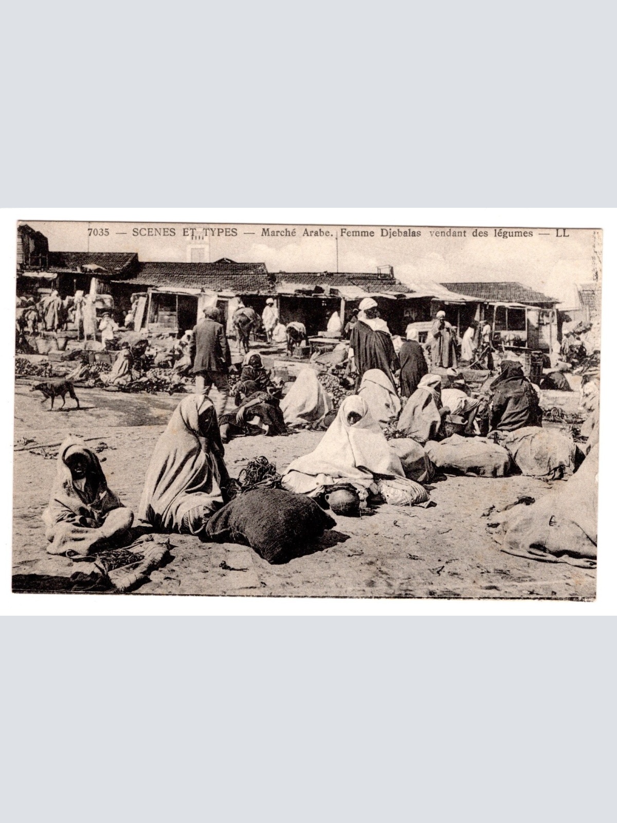 AK, Scenes et Types - Marche Arabe, Ansichtskarte (S6606)