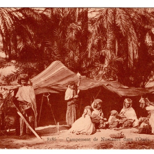 AK, Campement de Nomades dans l'Oasis, Ansichtskarte (S6615)