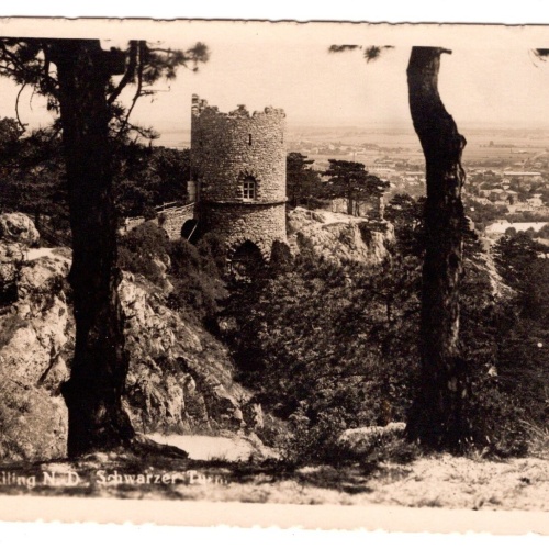 AK, Mödling, Schwarzer Turm, Niederösterreich, Ansichtskarte (S6631)