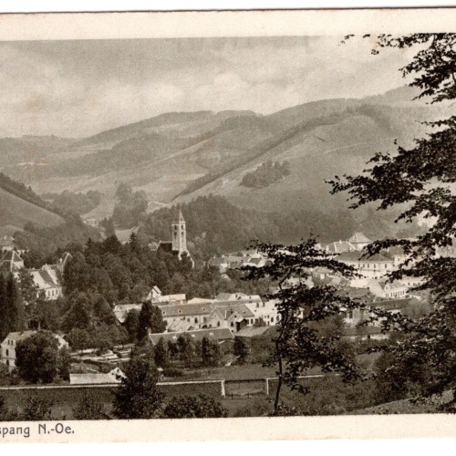 AK, Blick auf Aspang, Niederösterreich, Ansichtskarte (S6896)