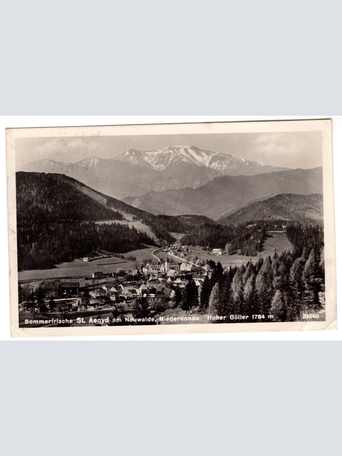 AK, Sankt Aegyd am Neuwalde, Niederösterreich, Ansichtskarte (S6923)