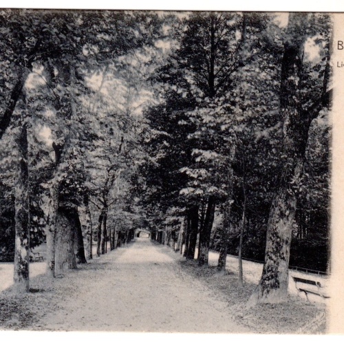 AK, Baden-Baden, Lichtenthaler Allee, Baden-Württemberg, Ansichtskarte (S7010)
