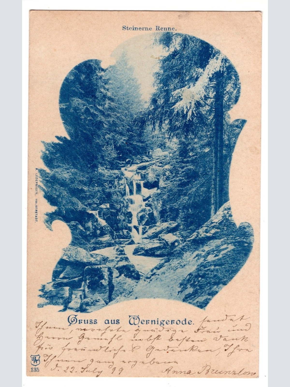 AK, Gruß aus Wernigerode, Sachsen-Anhalt, Ansichtskarte (S7027)