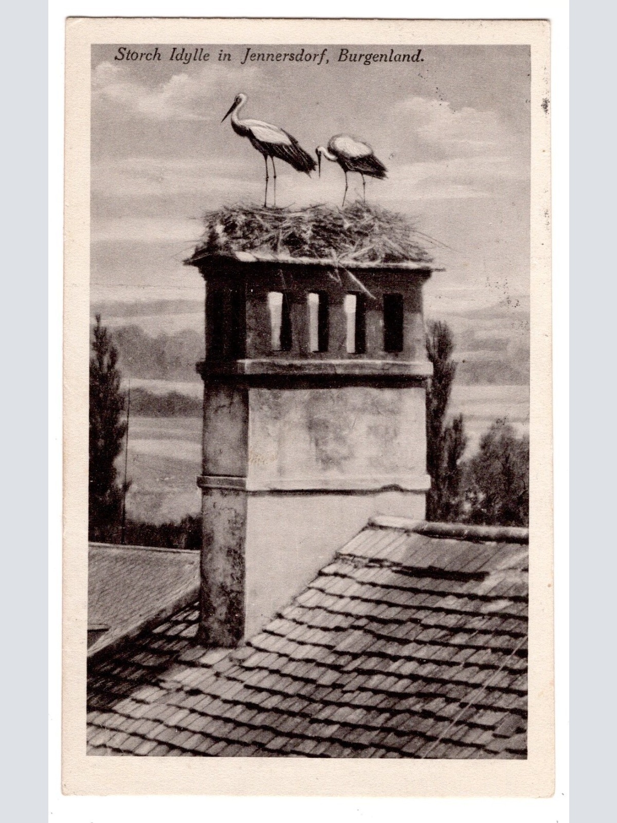 AK, Storch Idylle in Jennersdorf, Burgenland, Ansichtskarte (S7137)