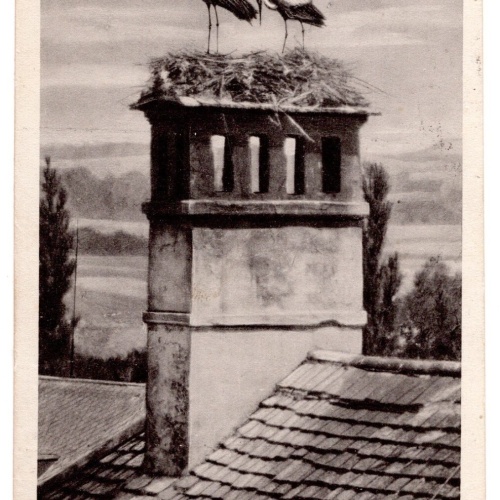 AK, Storch Idylle in Jennersdorf, Burgenland, Ansichtskarte (S7137)