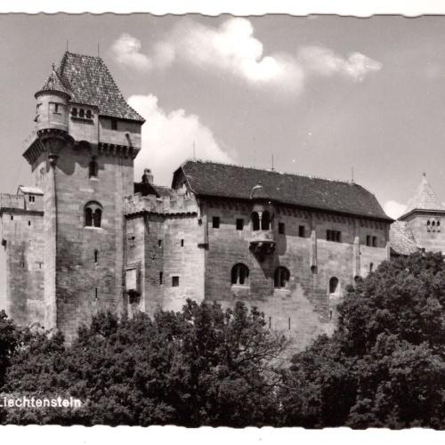 AK, Feste Liechtenstein, Niederösterreich, Ansichtskarte (S7141)