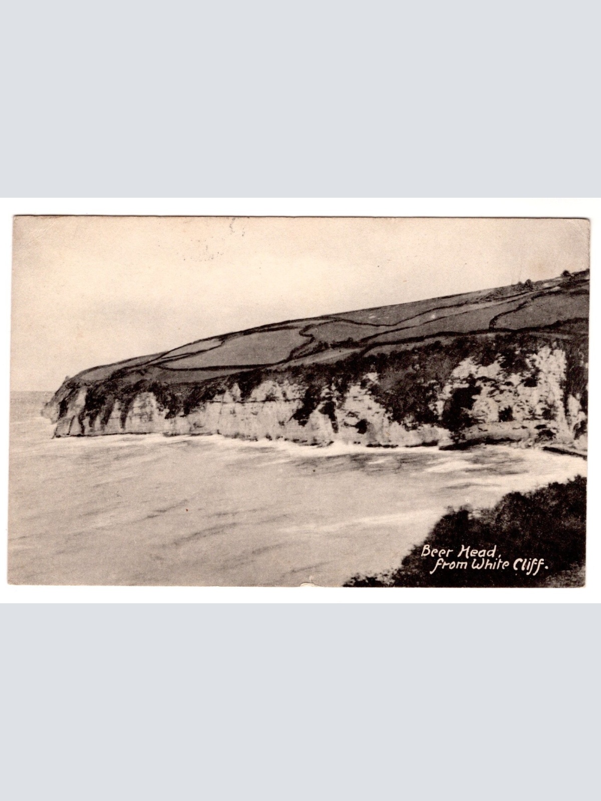 AK, Beer Head from white cliff, England, Ansichtskarte (S7260)