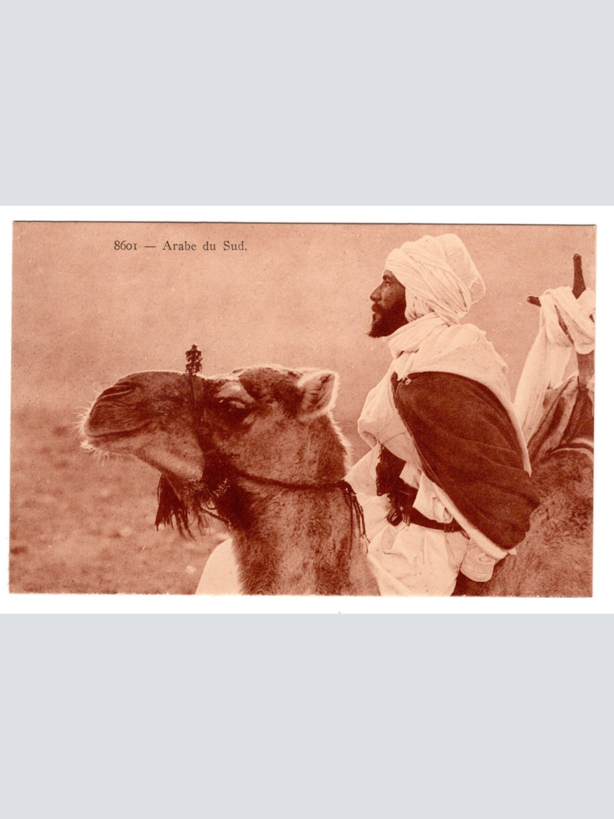 AK, Arabe du Sud, Ansichtskarte (S7270)