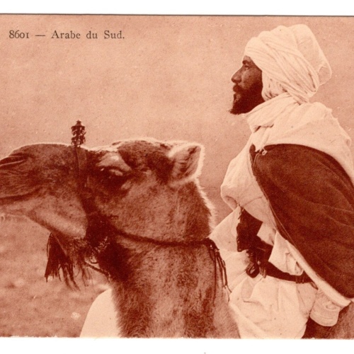 AK, Arabe du Sud, Ansichtskarte (S7270)