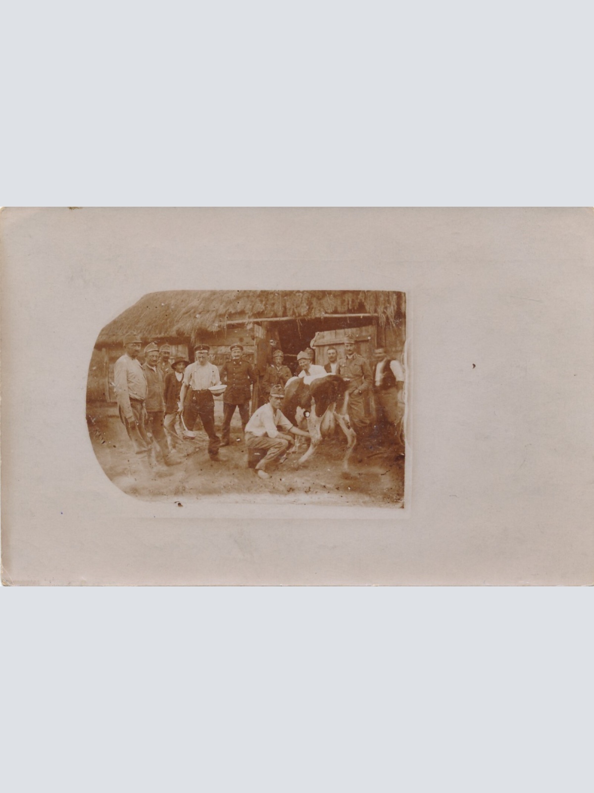 AK Soldaten Holen sich Milch von der Kuh ,Melken Militaria Ansichtskarte (14539)