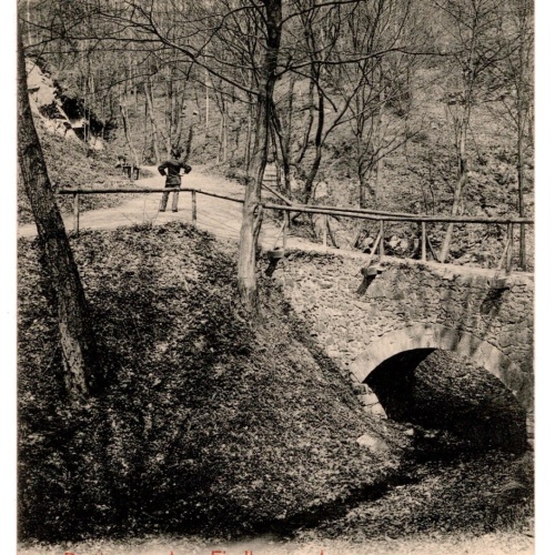 AK, Partie aus dem Fiedlergrunde, Ansichtskarte (S7330)