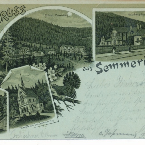 Mondschein Litho - Karte gruss vom Semmering Niederösterr. Ansichtskarte (14450