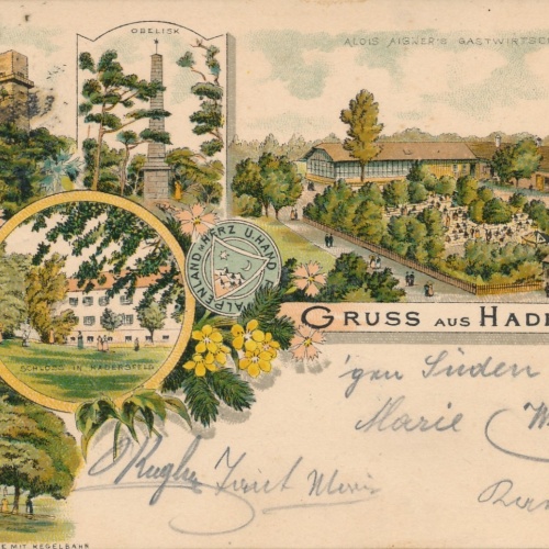 Litho - Karte aus Hadersfeld Niederösterreich Ansichtskarte (14751)