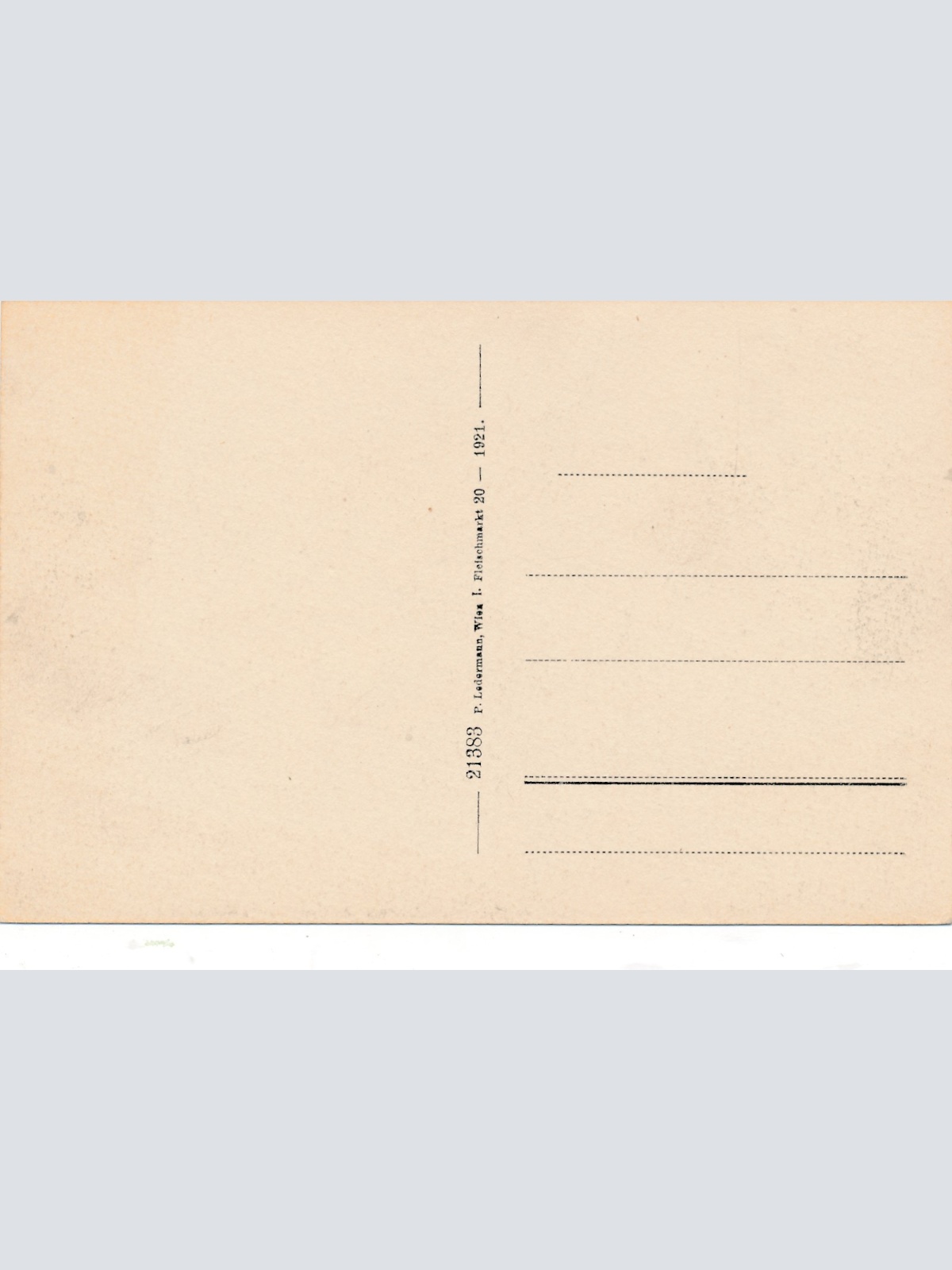 AK aus Türnitz Niederösterreich Ansichtskarte (14874)