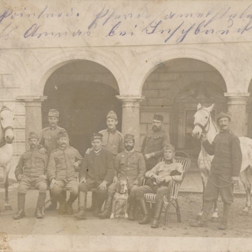 AK Soldaten mit Pferden Militaria (14743)