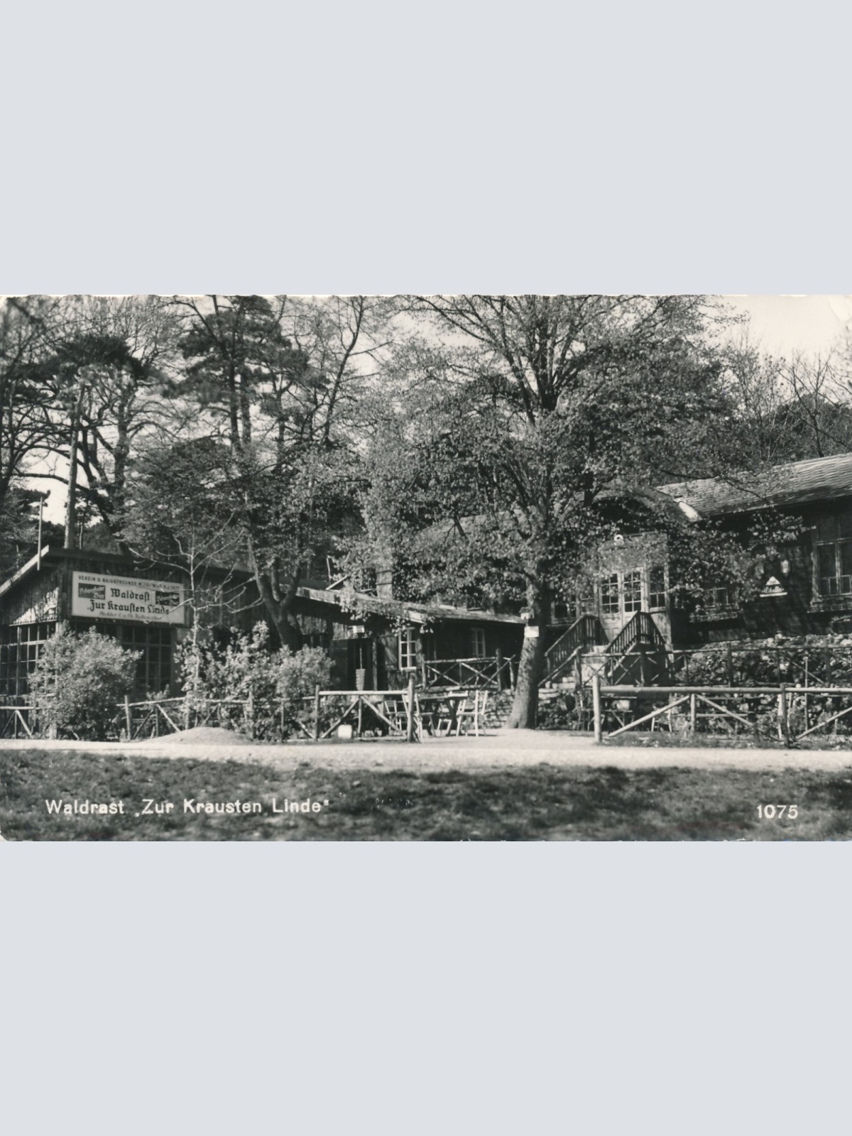 AK aus Waldrast zur Krausten Linde Niederöst. Ansichtskarte (14951)