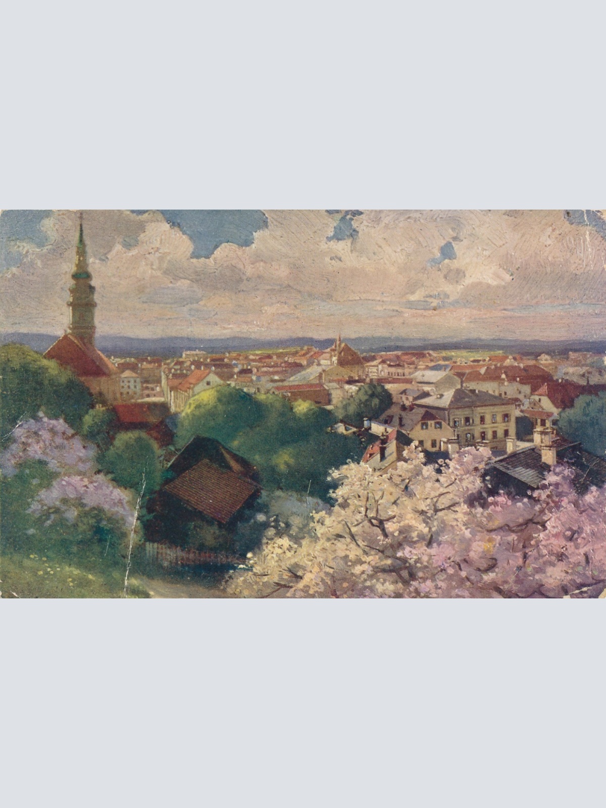 AK aus Ried im Innkreis Oberösterreich Ansichtskarte (15153)