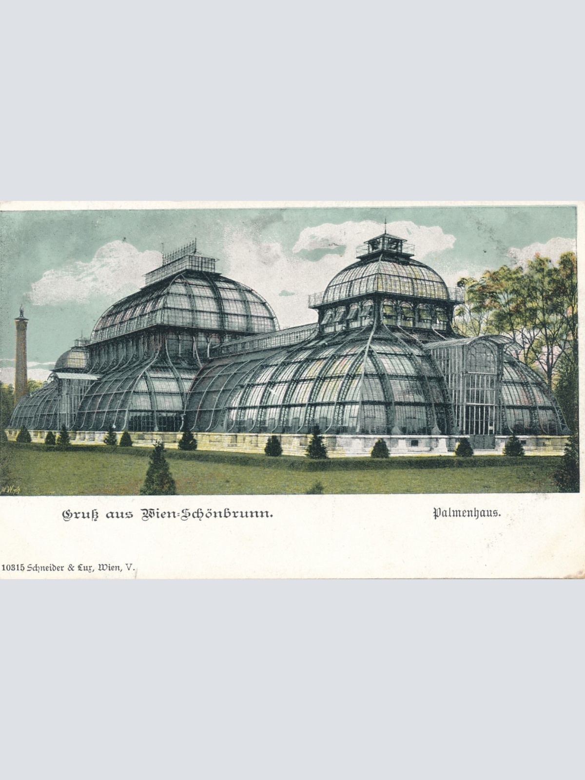 AK aus Wien Palmenhaus Ansichtskarte (14986)