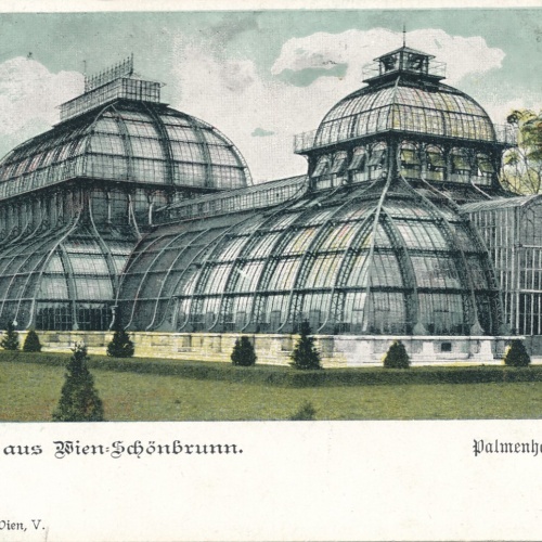 AK aus Wien Palmenhaus Ansichtskarte (14986)