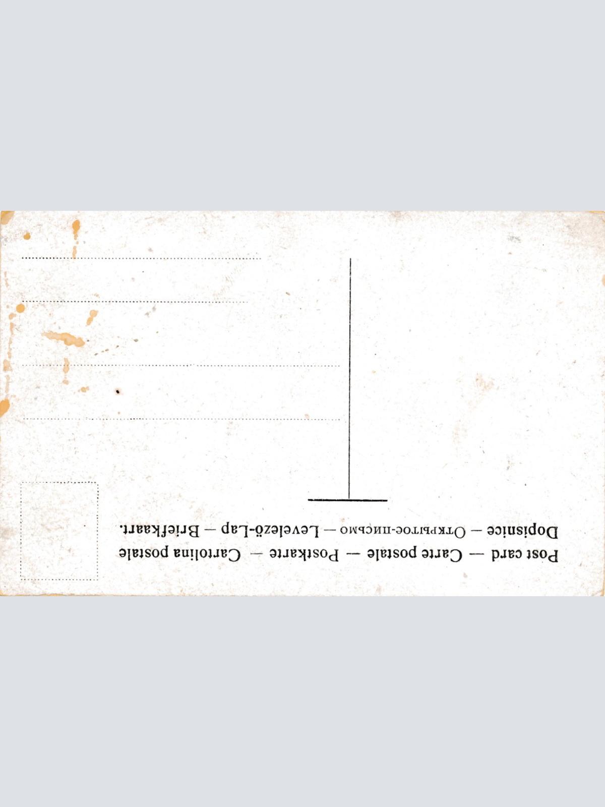 Motiv - Karte Hund mit Baby Rücksichtslos Ansichtskarte (15867)