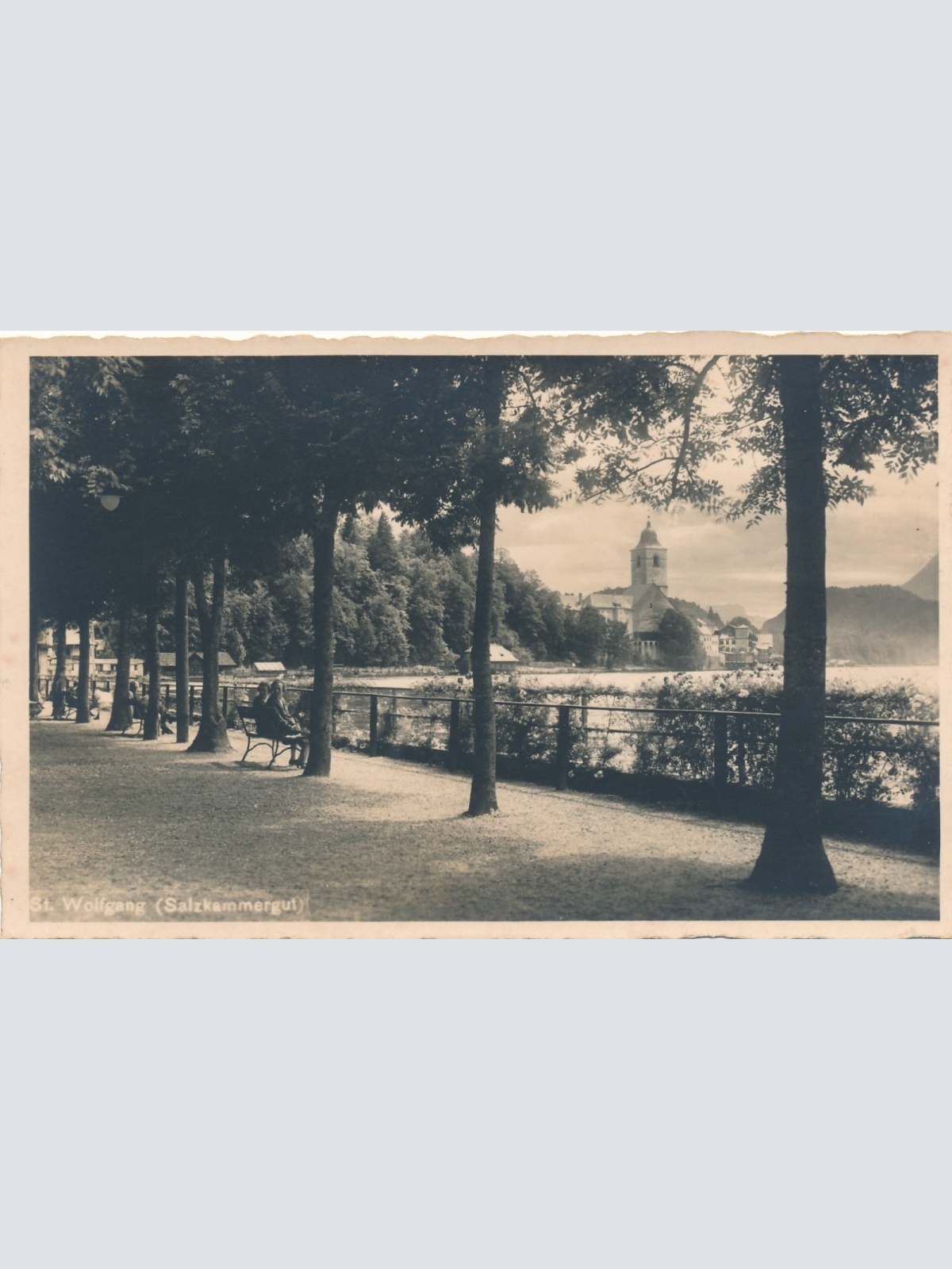 AK aus St. Wolfang Oberösterreich Ansichtskarte (15321)