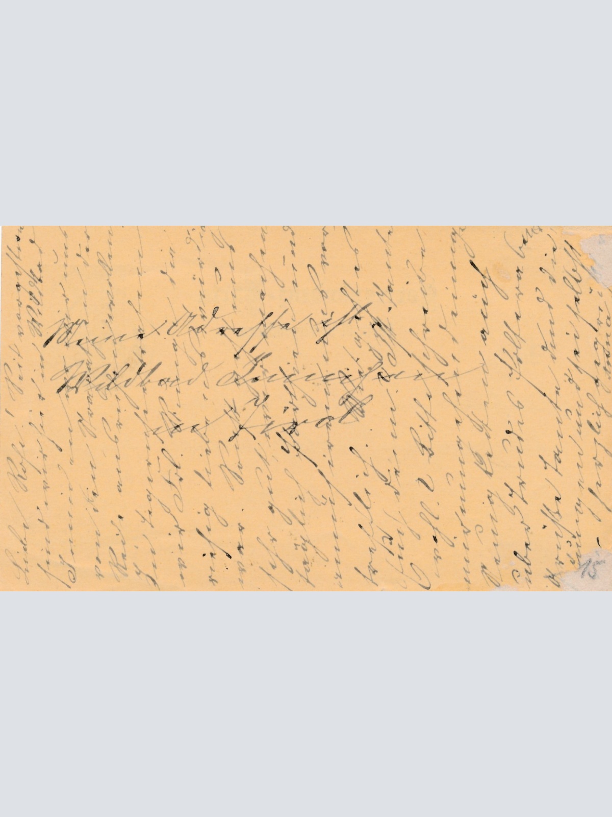 2 Kreuzer Ganzsachen - Karte aus Innichen (16281)