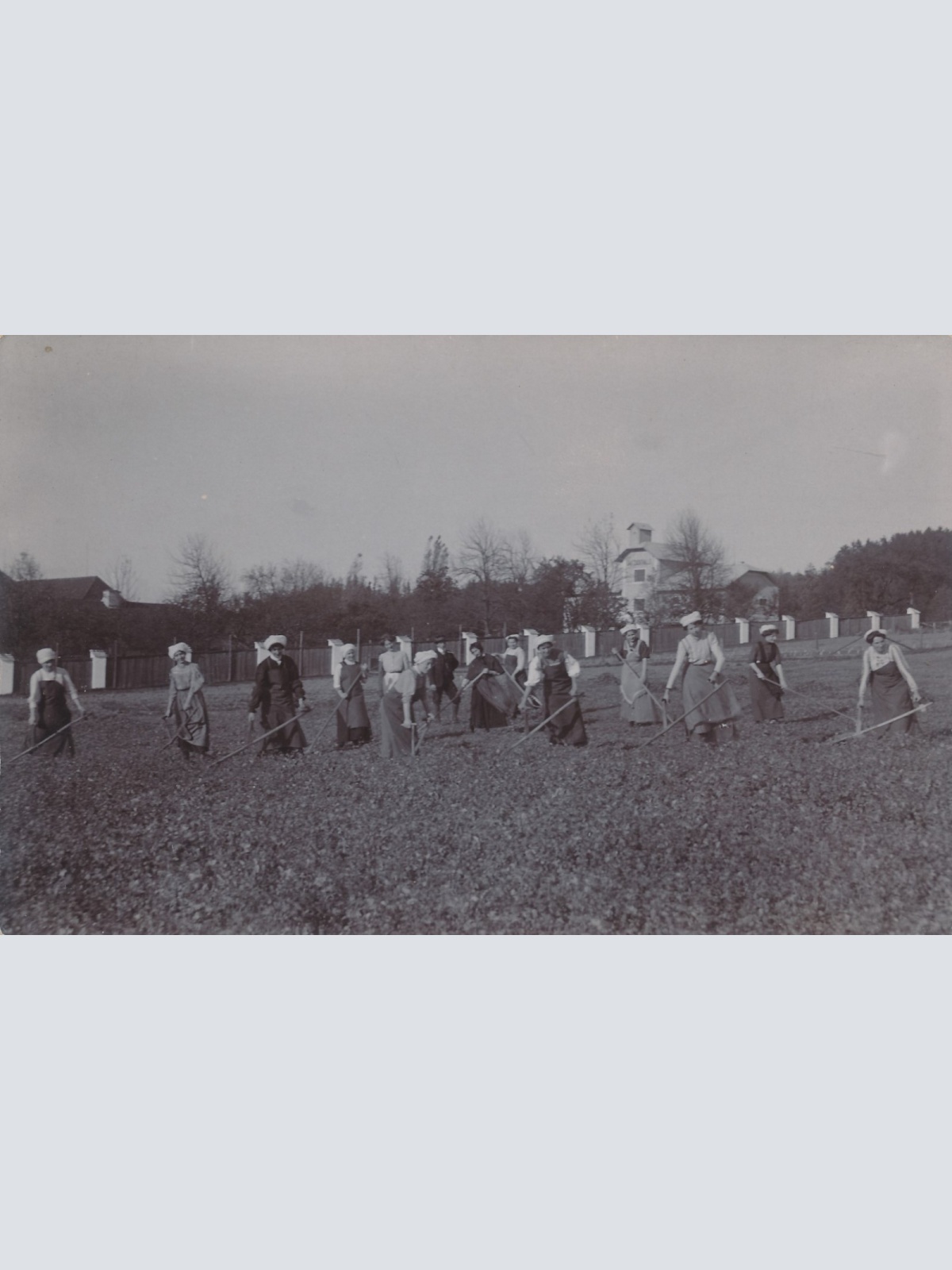 AK Annodazumals Frauen bei der Feldarbeit Ansichtskarte (16257)