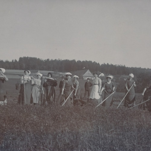 AK Annodazumals Frauen bei der Feldarbeit Ansichtskarte (16254)