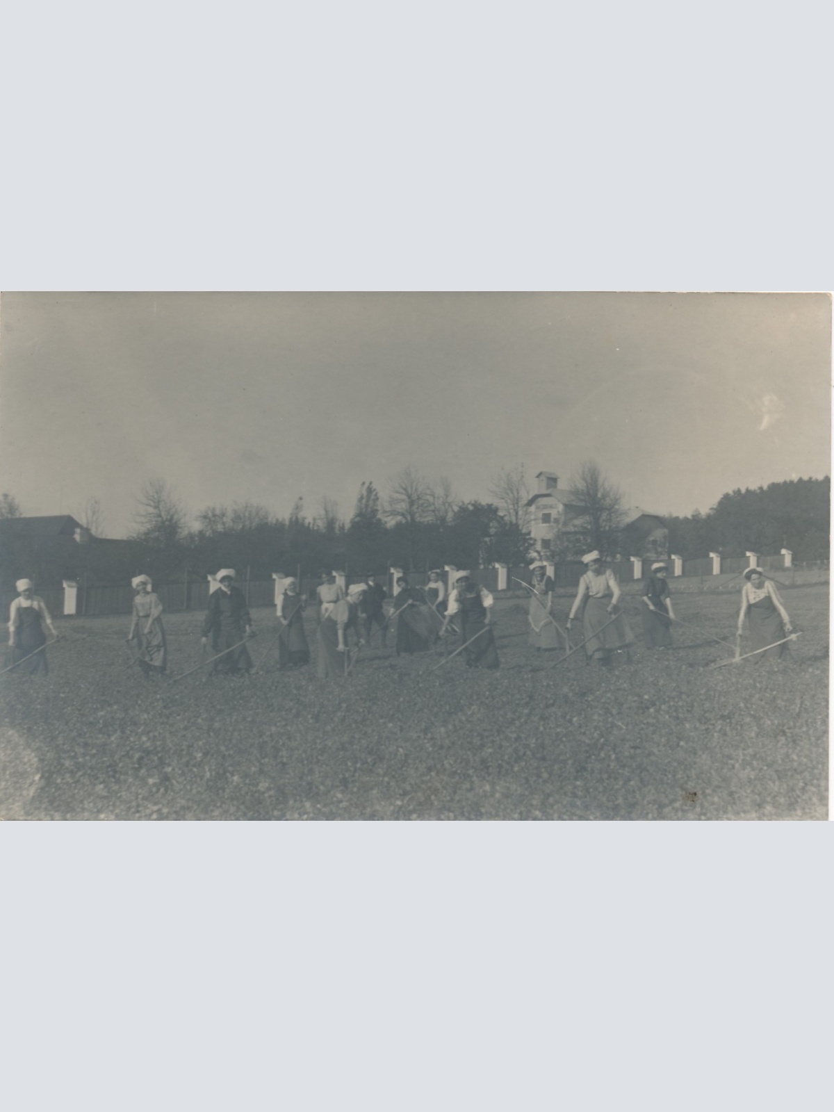 AK Annodazumals Frauen bei der Feldarbeit Ansichtskarte (16253)