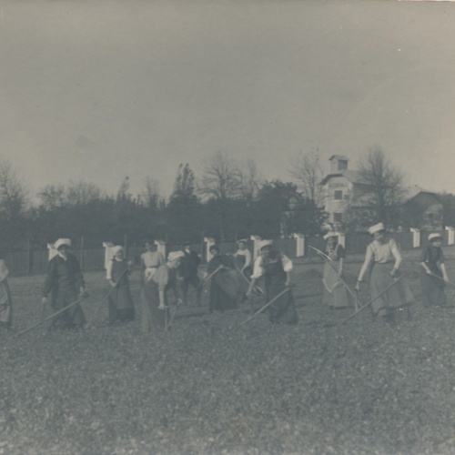 AK Annodazumals Frauen bei der Feldarbeit Ansichtskarte (16253)