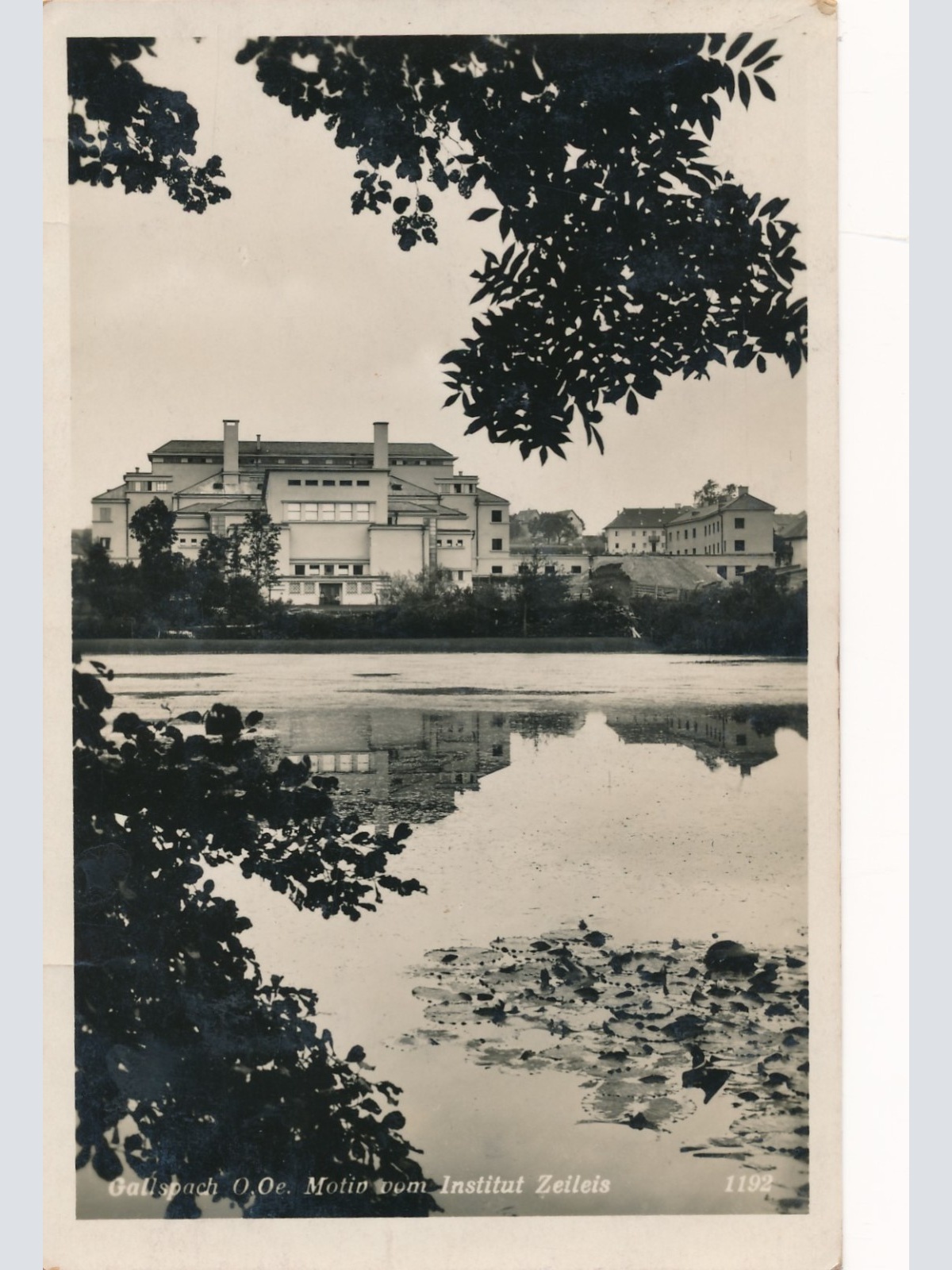 AK aus Gallspach mit Institut Zeileis Oberösterreich Ansichtskarte (15695)
