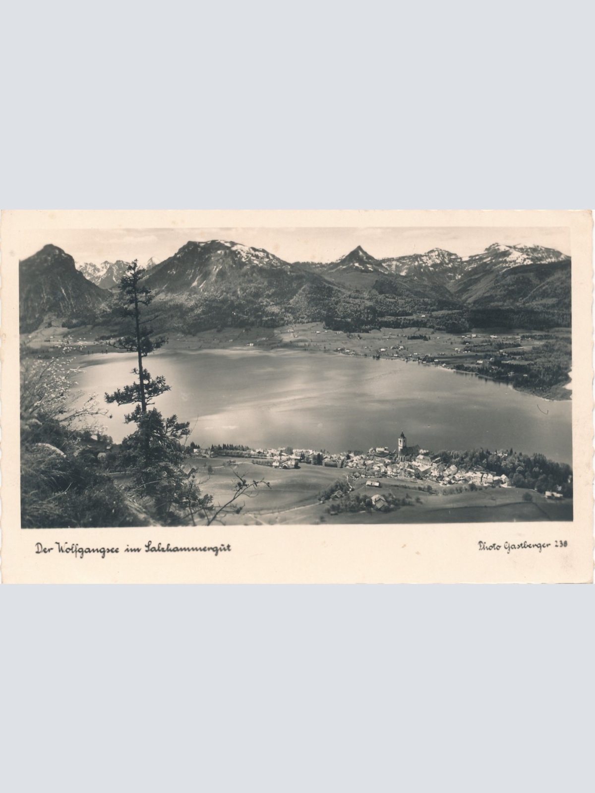 AK aus vom Wolfgangsee Oberösterreich Ansichtskarte (15698)