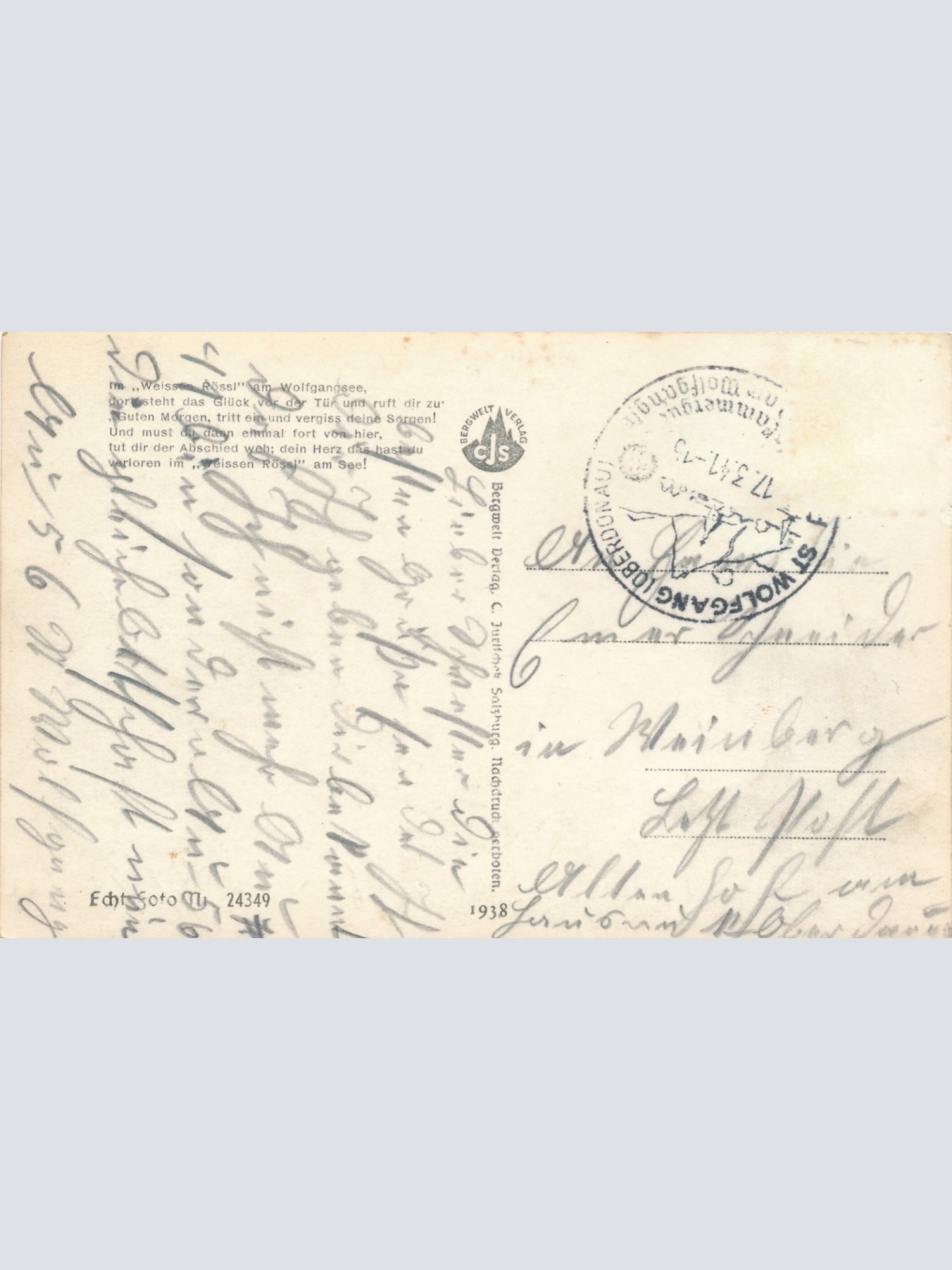 AK aus St. Wolfgang Landungsplatz Oberösterreich Ansichtskarte (15699)