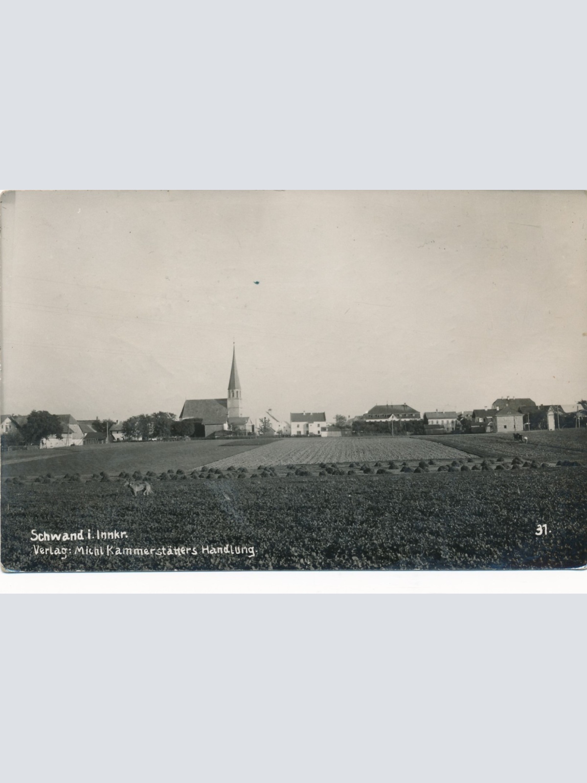 AK aus Schwand im Innkreis Oberösterreich Ansichtskarte (15239)